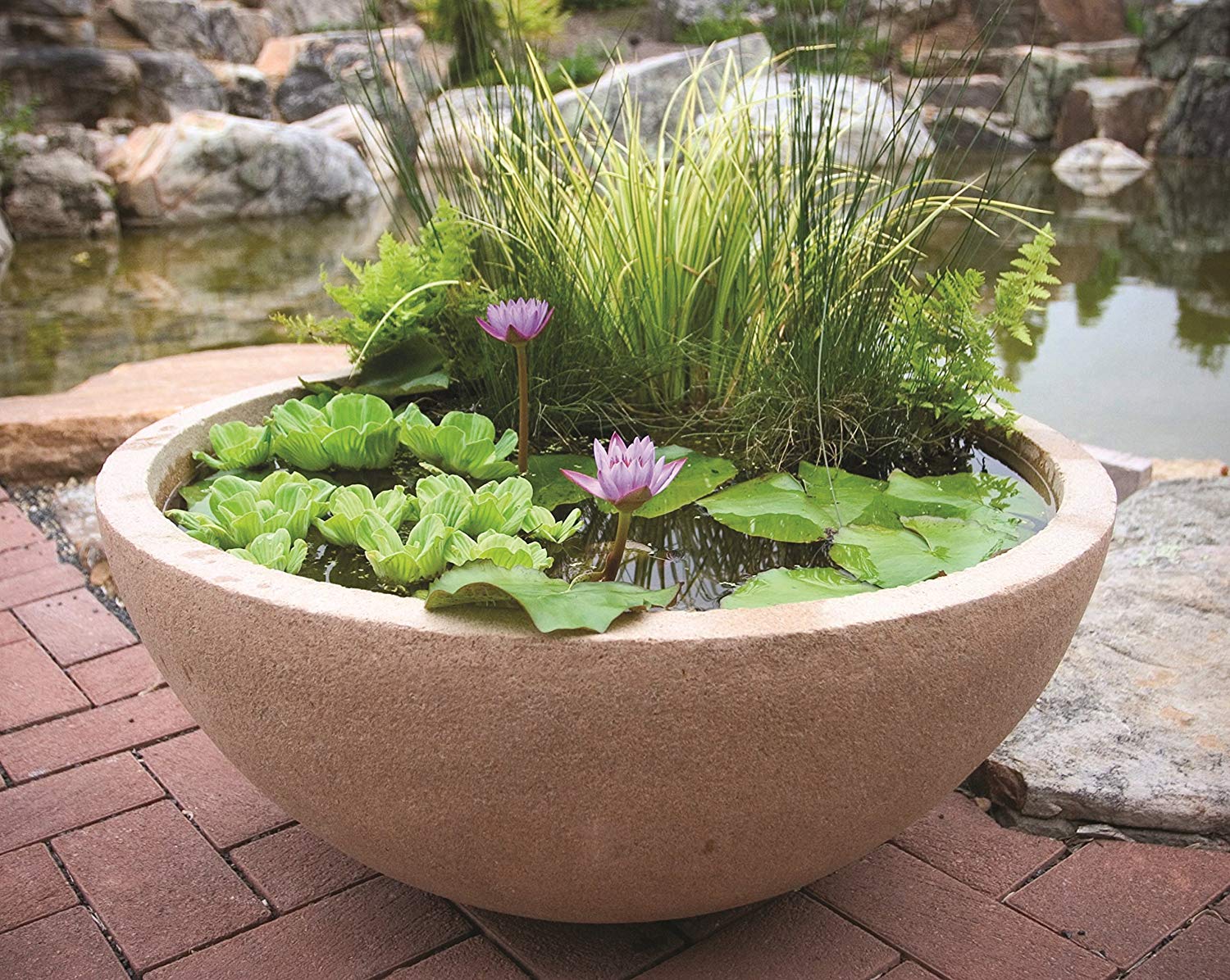 How to Create and Maintain a Patio Pond - Splash Supply Company