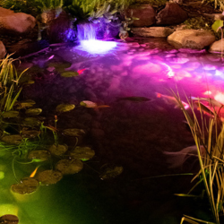 I have an Aquascape Color Changing System - Please make sure everything is working great.